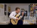 Wild mountain thyme - Traditional Scottish played by Sanel Redzic