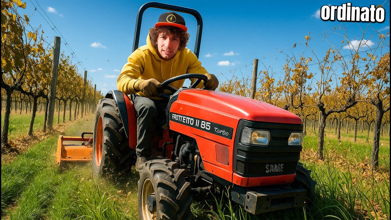 COME TENIAMO PULITI 80.000 mq di VIGNETO