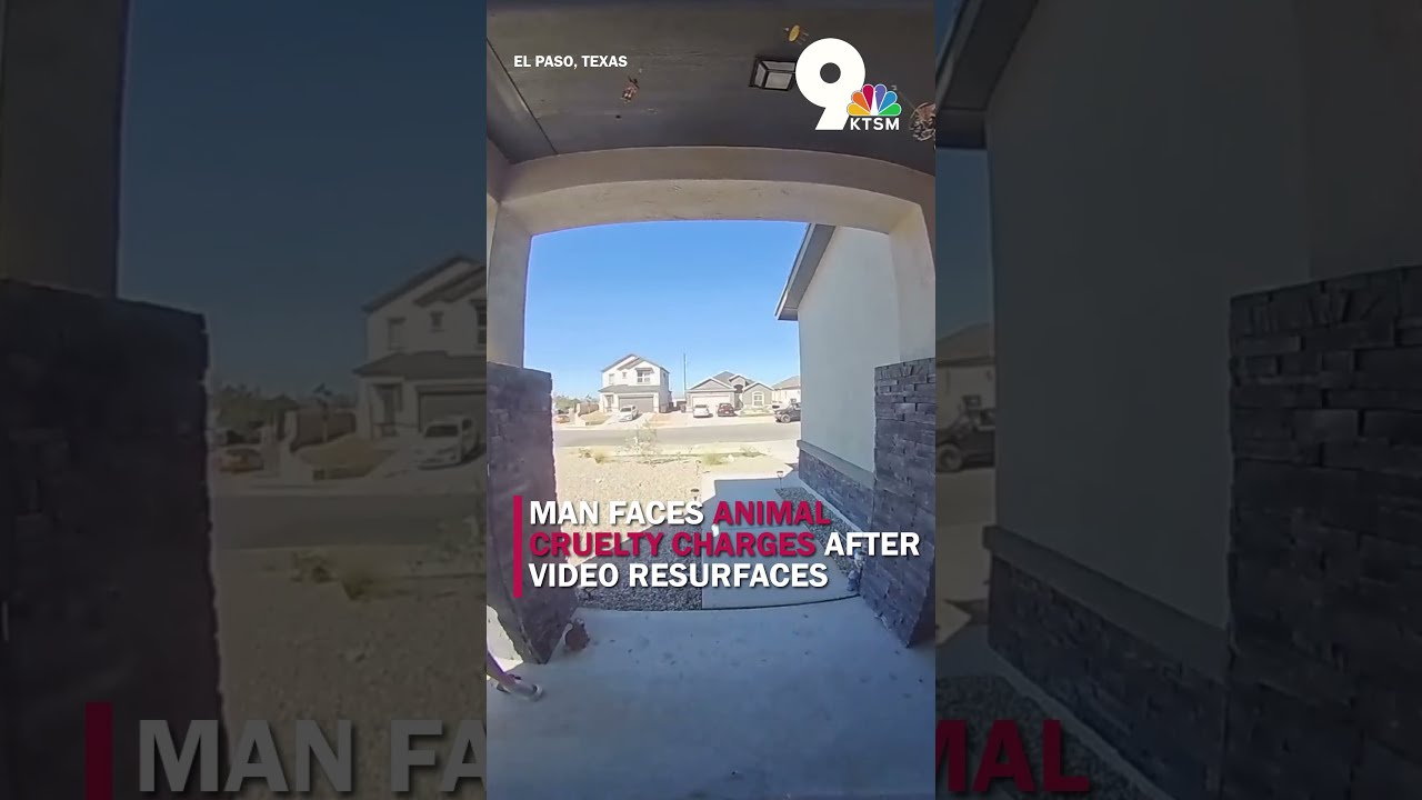 Man Charged With Animal Cruelty After Video Resurfaces