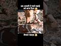 गाय माँ ने प्यारे से बछड़े को जन्म दिया 😱 | #short #anime #movie #recap