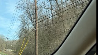 Taking down a dangerous giant poplar tree uprooting from a wind storm leaning toward our power lines