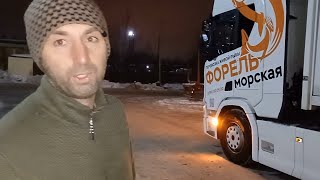 РЫБОВОЗНЫЕ ДВИЖЕНИЯ НА SCANIA / ПЕРЕВОЗКА РЫБЫ