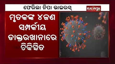 Nipah Virus in Kerala: 2 deaths confirmed; Centre sends team to oversee situation || Kalinga TV