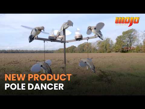 MOJO Pole Dancer - NEW for 2024