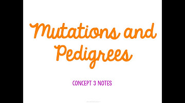 Unit 5 Heredity Concept 3 Notes *UPDATED*