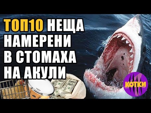 Видео: Нови странни неща лабиринти, идващи към Universal