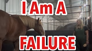 картинка: Роман и Шторм: Уход за ранами наших лошадей: