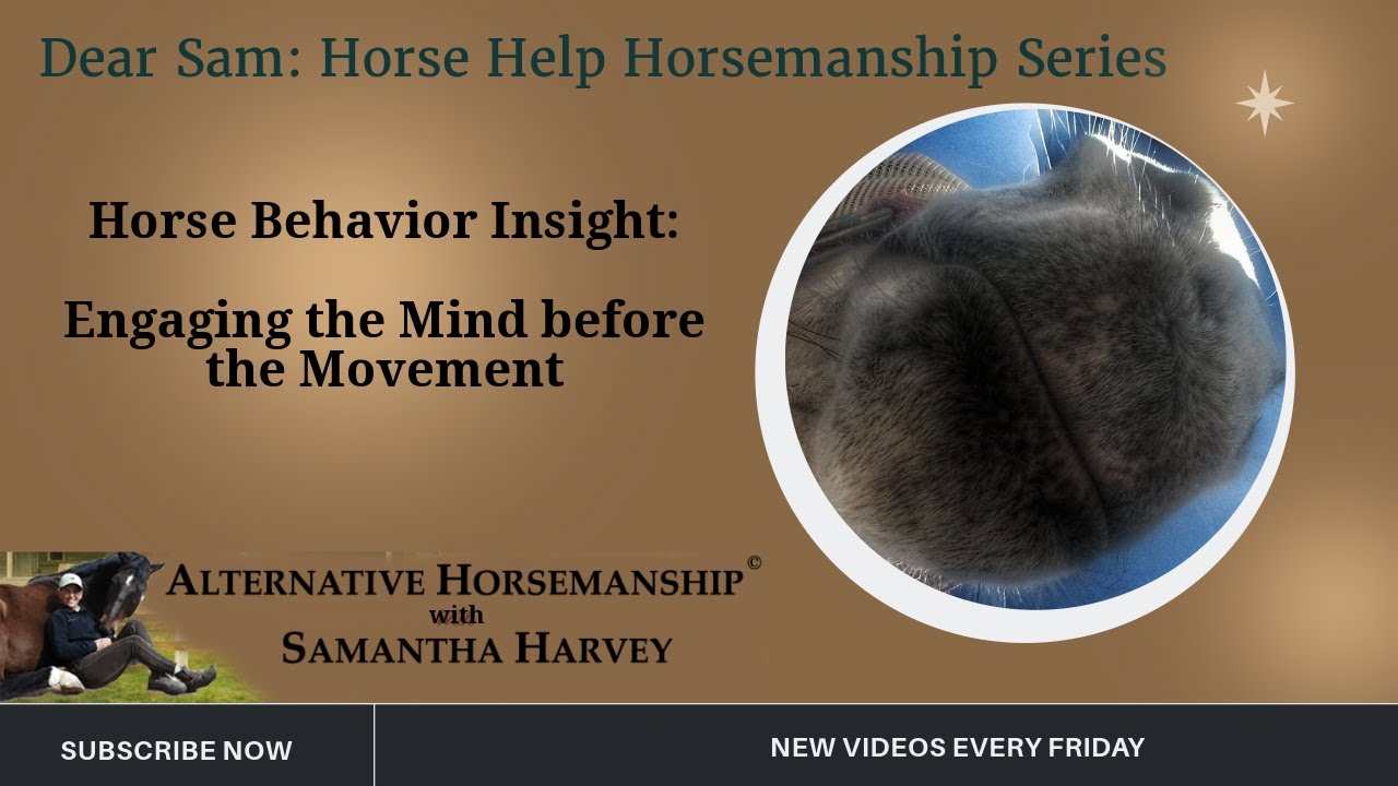 Dear Sam Horse Behavior Insight: Engaging the Mind before the Movement Dear Sam ...