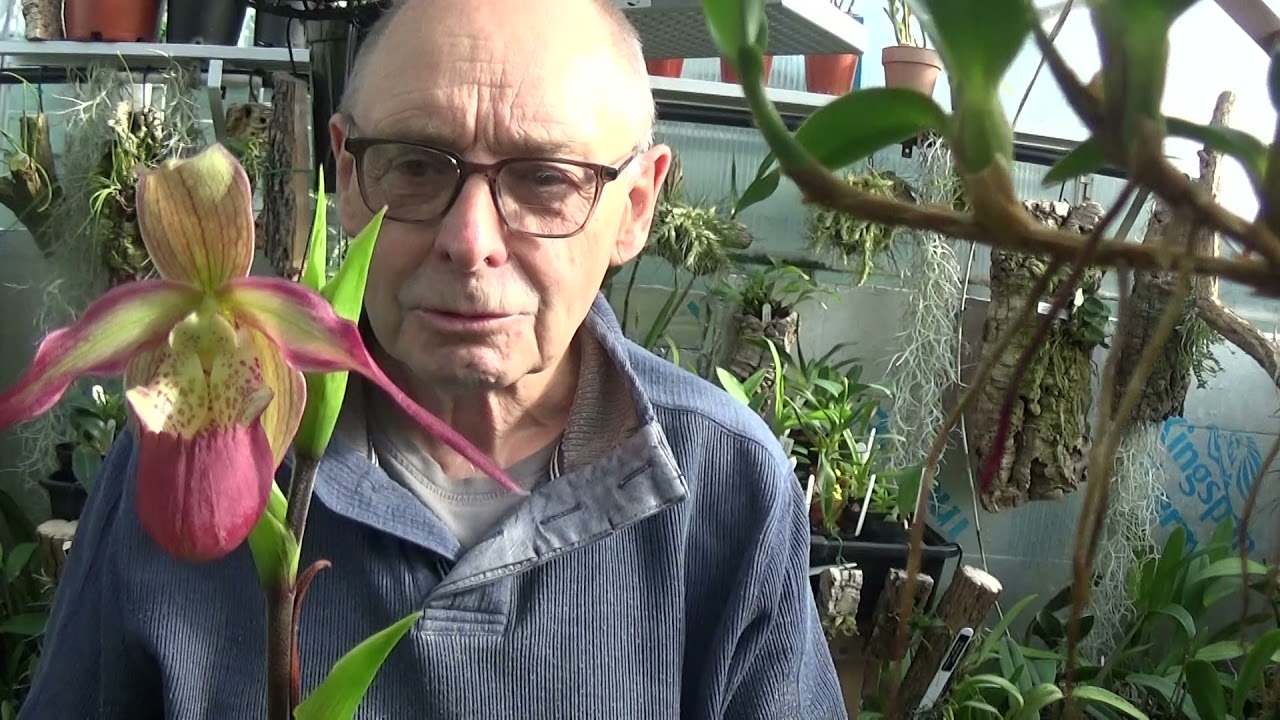 A visit to David's greenhouse.