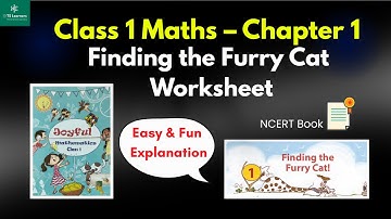 Class 1 Maths Chapter 1 Worksheet | Finding the Furry Cat | NCERT Solutions & Activities Explained