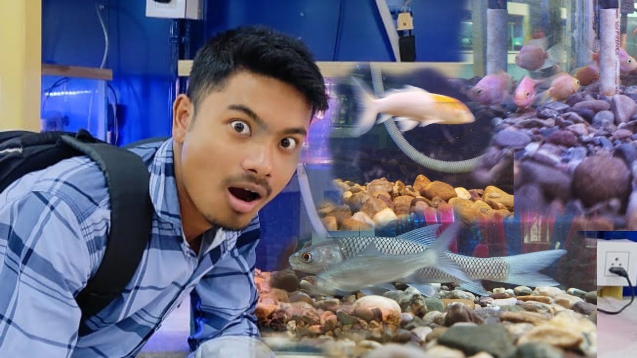 ECO Park In Bongaigaon GemsriDaimari YouTube eco-park-in-bongaigaon-gemsridaimari-youtube