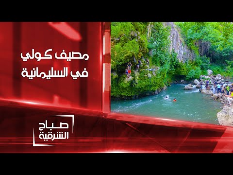 فيديو: ما هي منطقة كولي؟