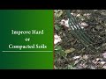 How to Loosen & Improve Hard or Compacted Soil