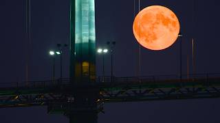Moonlight in 4K – Calm Night Sky for Deep Sleep & Relaxation | Live Vol.01