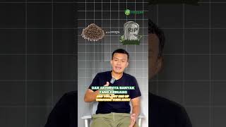 Pelihara 1 gecko aja mana cukup? Yuk cek repjak.com sekarang! 💰🦎