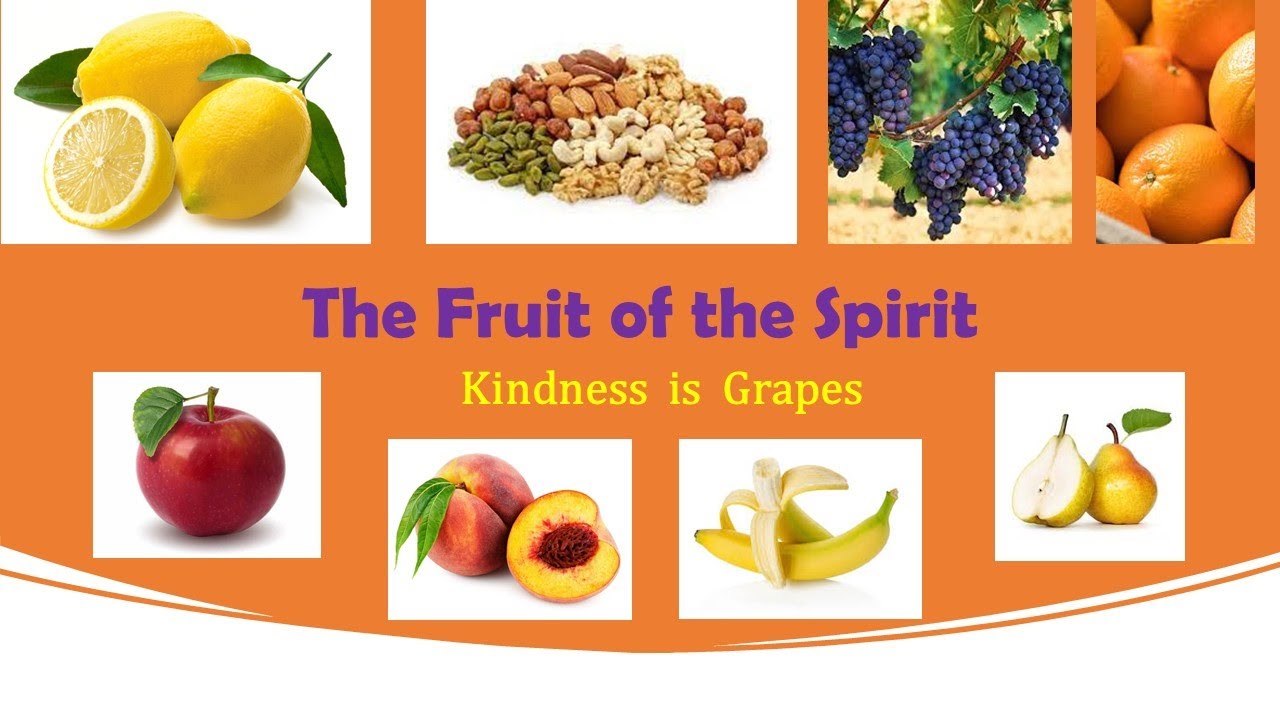 The Fruit of the Spirit Week 5 Kindness is Grapes YouTube