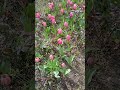 Bu Öğütleri Mutlaka Dinle #keşfet #reels #viral #short #özlüsözler #islam #öğütler #güzelahlak #like