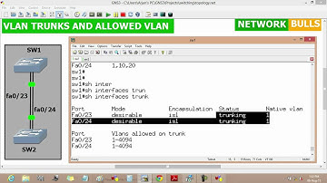 VLan Trunking and Allowed Vlans - CCNP R&S Level by Network Bulls