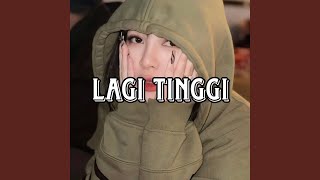 Lagi Tinggi
