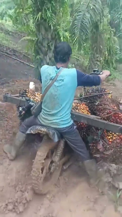 Tanah Subur Tapi Hidup Tak Makmur