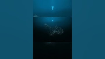 IF THIS PHOTOS SCARES YOU....YOU MIGHT HAVE.................THALASSOPHOBIA ☠
