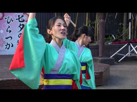 踊って弥雷！＠2017　湘南ひらつかスターライトフェスティバル