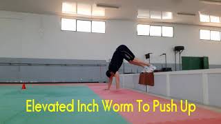 Elevated Inch Worm To Push Up