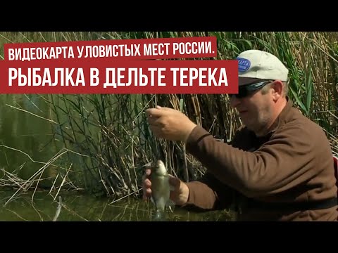 Рыбалка в дельте Терека \ Видеокарта уловистых мест России.