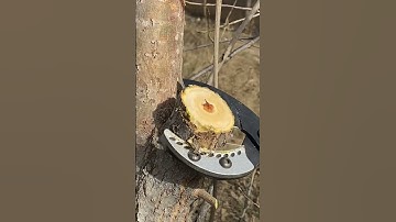 High Performance Hardware Tools #shortsfeed