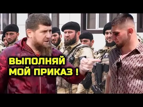 Кадыров Заставил Извиниться Тамаева Перед Дибиром Махмудовым. Дагестан Чеченцы Тамаев Драка Аац