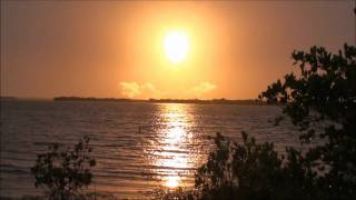 Discovery STS-119 Launch in 1080p HD from KSC Banana Creek for family & friends my VIP experience 