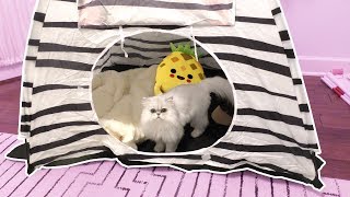 HUGE TOYS & FURNITURE SURPRISE FOR CLOUD