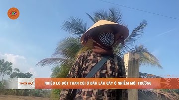 NHIỀU LÒ ĐỐT THAN CỦI Ở ĐẮK LẮK GÂY Ô NHIỄM MÔI TRƯỜNG | VTV5