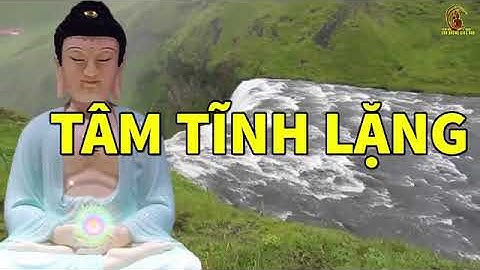 Người Trí Tuệ càng cao thì càng Tĩnh Tâm và tầm nhìn càng xa!