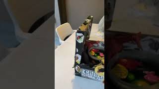Biome art shoe box