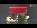 Octopus Escapes Jar