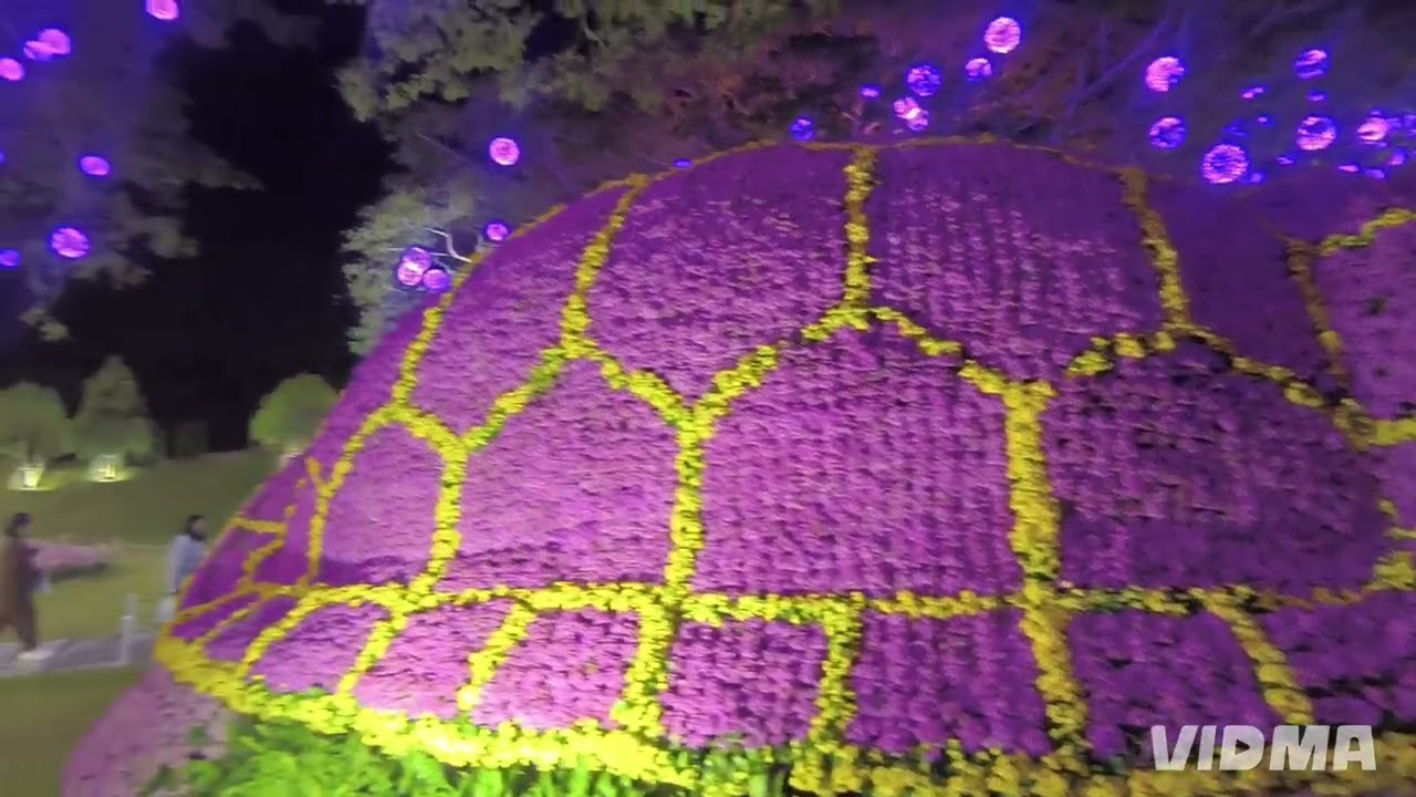 ၸူဝ်းလေႇတူၺ်းသွၼ်မွၵ်ႇ