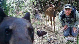 Tim Harrell - Swamp Trail Camera Pickup