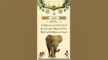 Surah Al-Fil | سورة الفيل | The Elephant – Heart-Touching Tilawat