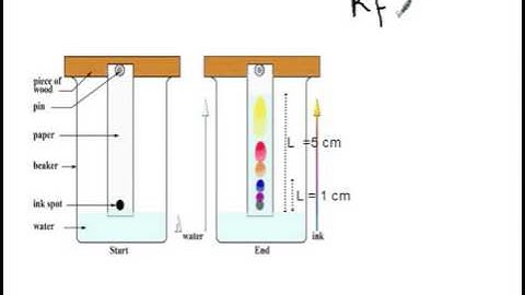 criteria of purity and chromatography Siba Learning Zone