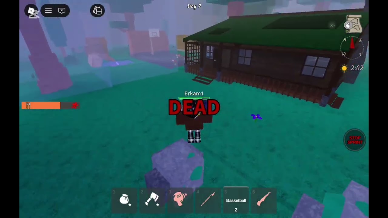 Playing with a fan called ekmal 