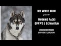 Mushing radio qpaws and 2020 serum run