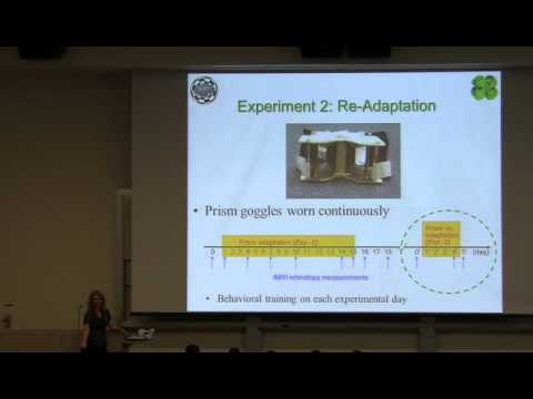 UCI Laboratory of Visual Neuroscience