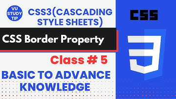 CSS Border Property:Everything You Need to Know|class5|CSS Borders  Complete Guide for Beginners
