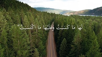 { لَا يُكَلِّفُ اللَّهُ نَفْسًا إِلَّا وُسْعَهَا ۚ..} سورة البقرة : ٢٨٦