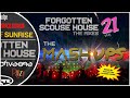 The mixes  volume 21 the mashups