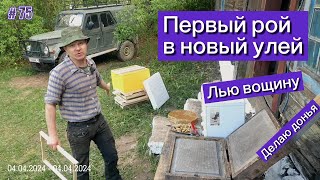 Первый рой в новый улей. Лью вощину, делаю донья...