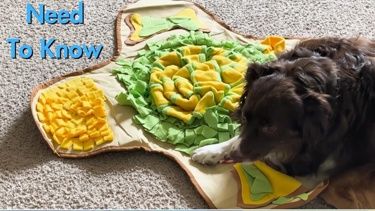 HOPET Snuffle Mat for Large Dogs Review [Slows Dogs Down Eating] YouTube