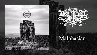 DISEMBODIED TYRANT - Malphasian（Symphonic Blackened Deathcore NEW SONG 2024 + Lyrics on description）