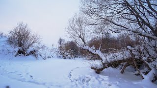 Безмотылка и балансир, РАБОТАЕТ на малой реке ВСЕГДА! Рыбалка зимой в 2022